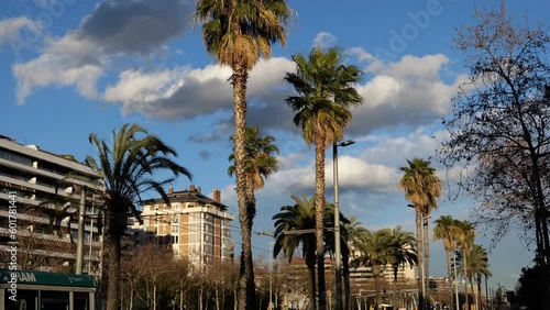 New residential buildings along the street with the palms, Barcelona, Spain  photo