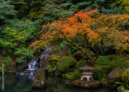 Zen Garden © John Grimshaw