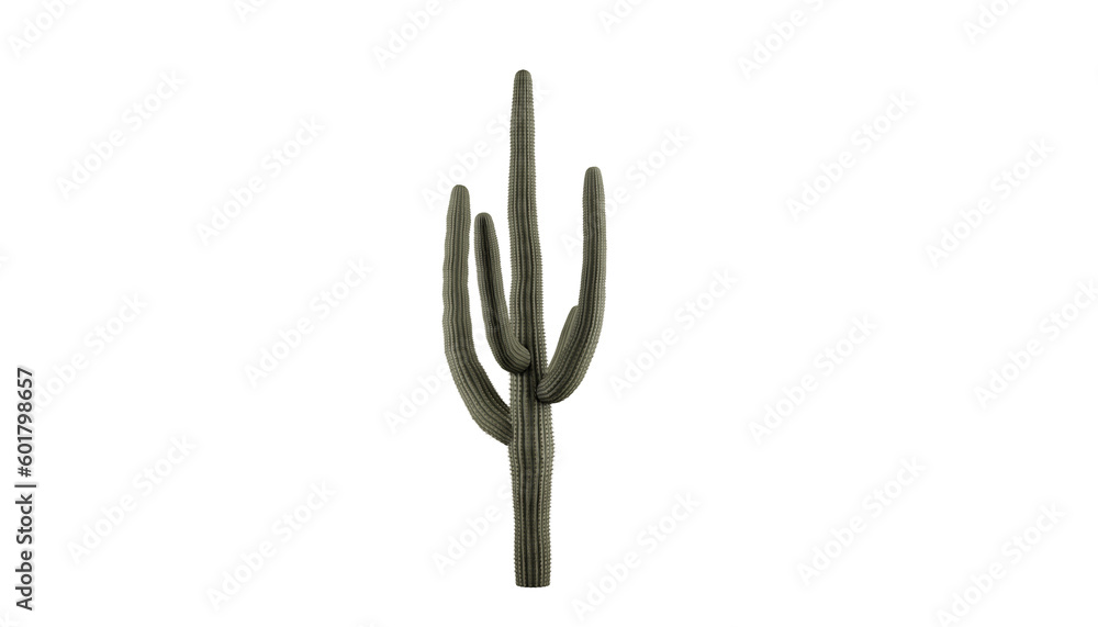 Captivating Saguaro Cactus on a Transparent Background. Cactus on
