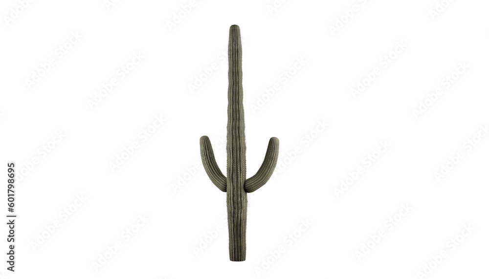 Captivating Saguaro Cactus on a Transparent Background. Cactus on transparent background. 3D render. Captivating Saguaro Cactus on a Transparent Background. Cactus on transparent background. 3D render.