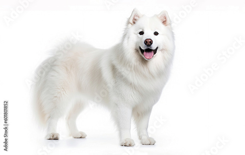 AI generative. White dog on white background
