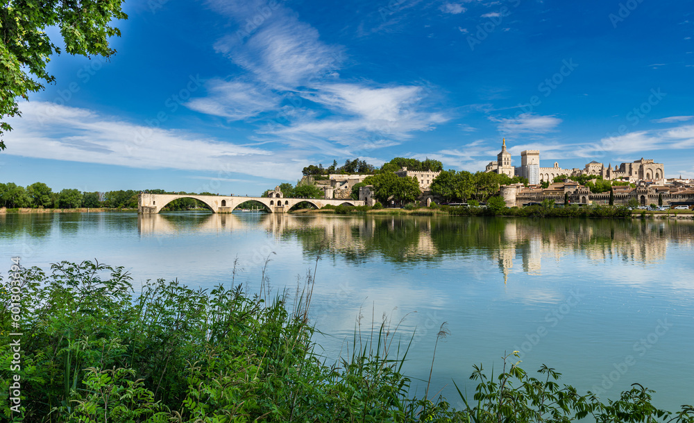 Panorama view of the city of Avignon on the Rhone River, France