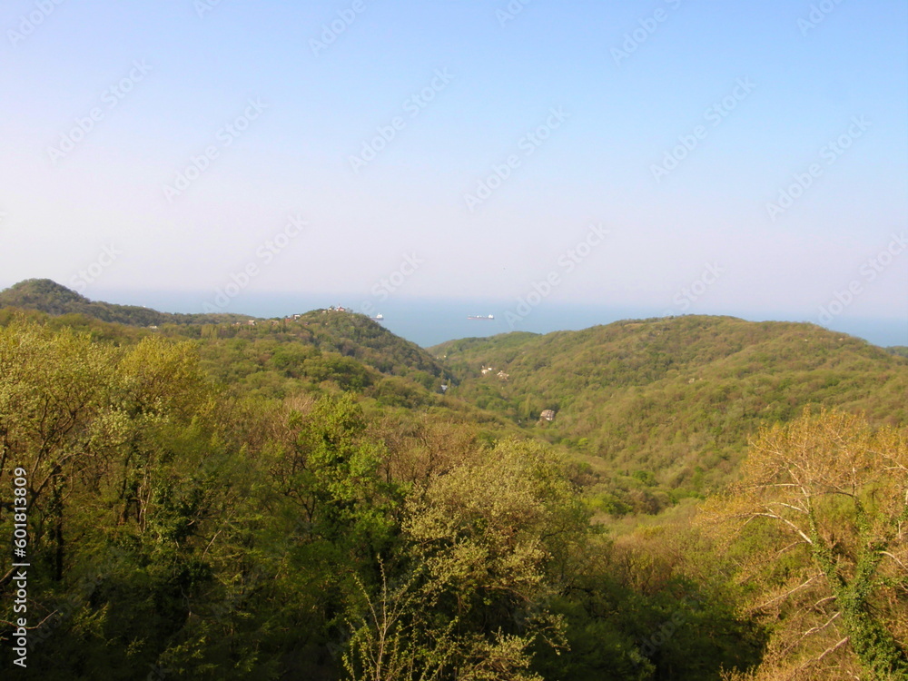 View of the green hills and trees on the sea coast.