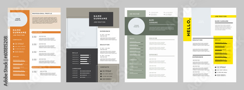 Business CV template. Minimalistic resume layout with work experience, education and skills fields vector set photo