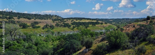 Panorama of Sacramento River Valley Near Payne's Creek, California