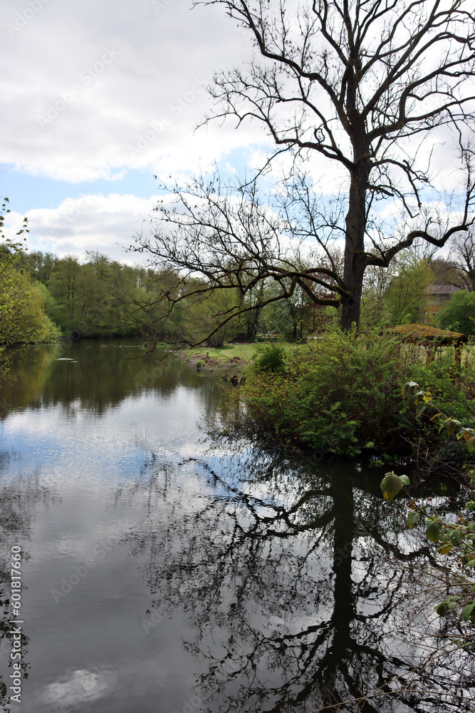 aufgestaute Ilmenau vor der Wassermühle Medingen aufgestaute Ilmenau vor der Wassermühle Medingen