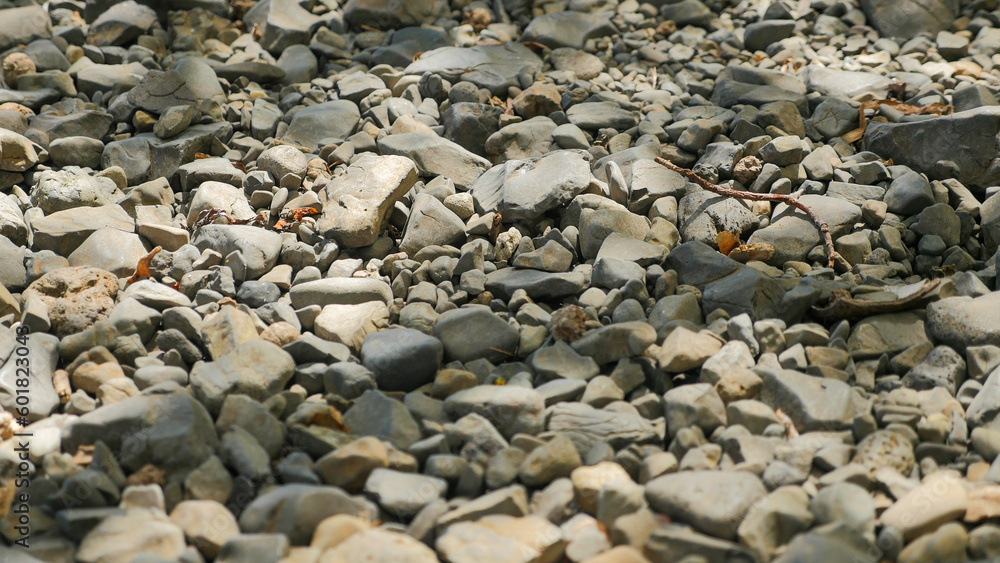 pebbles on the beach pebbles on the beach