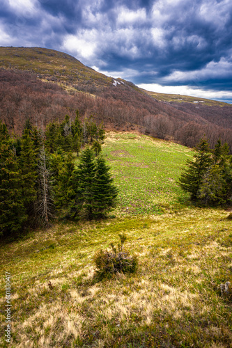 Early spring landscape of Połonina Wetlińska with the Mount Roh in the Bieszczady Mountains.