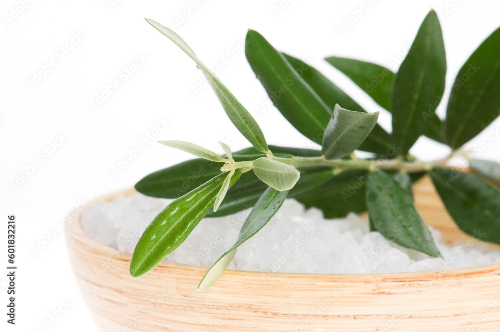 Obraz premium fresh olive branch and bath salt isolated on the white background. spa