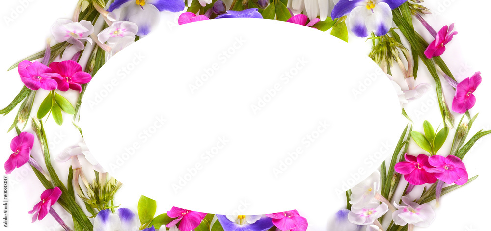 Floral pattern of daisies, phloxes and violets. Wide photo. Beautiful frame with place for text.