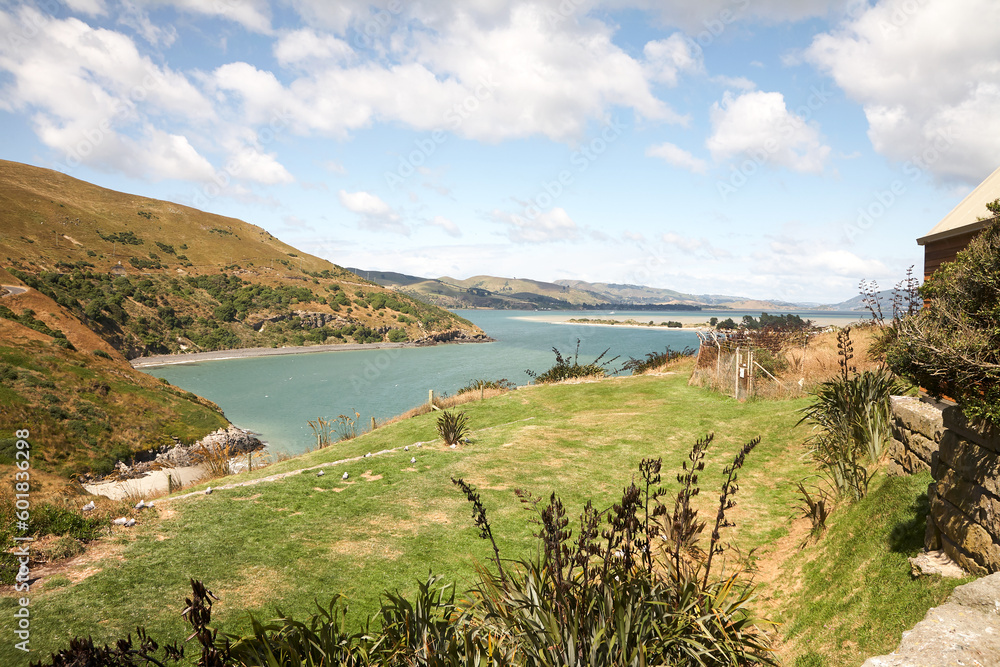 Landschaft an der Küste Neuseelands.
