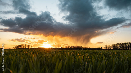 colourful sunset over field  - heavy cloud in golden hour 