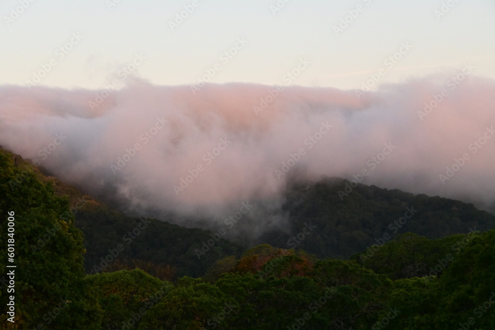 fog in the mountains fog in the mountains