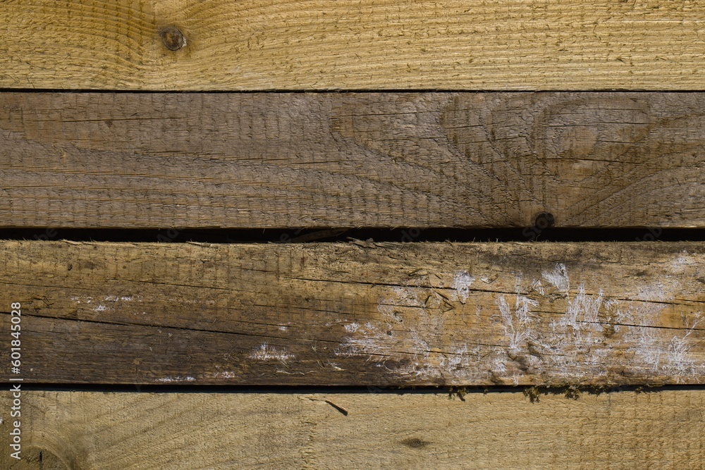 Old, raw boards arranged in a row. Old, raw boards arranged in a row.