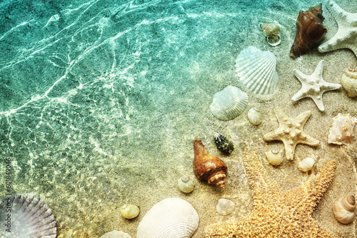Photographie Starfish and seashell on the summer beach in sea water