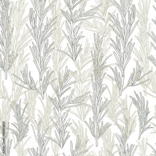 Hand drawn rosemary branches seamless pattern