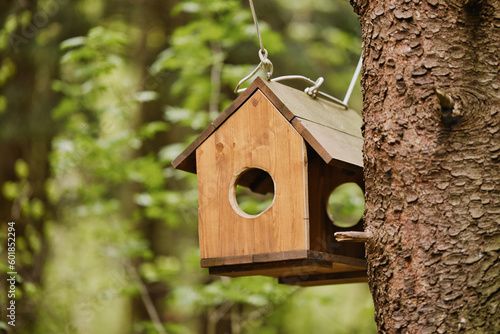 Wooden bird feeder hanging on a tree branch in the forest. Handmade wooden bird feeder.