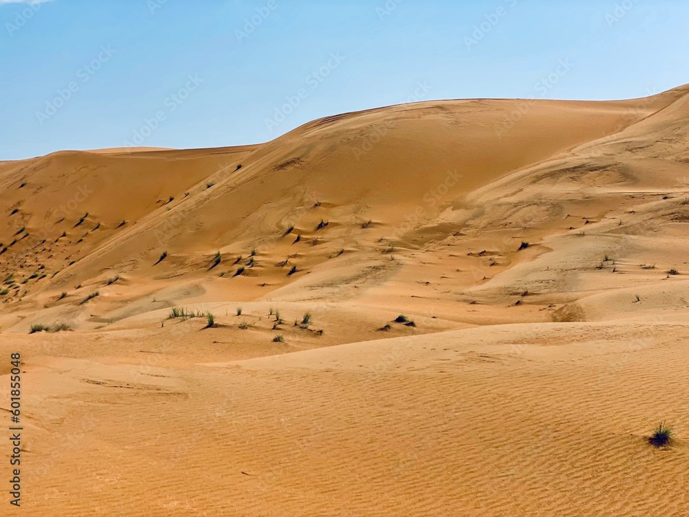 Desert sand dunes, Wahiba Sands, Oman 