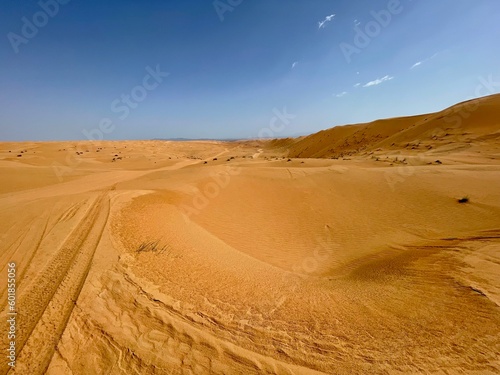 Panoramic view of the desert sand dunes of Wahiba in Oman  © Soldo76