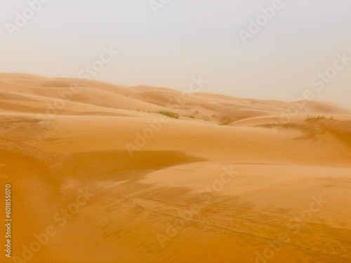 View of the sand dunes of the desert during a desert storm  Wahiba Sands  Oman 