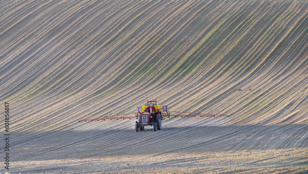 Stary traktor pracujący w polu. Opryskiwanie upraw wiosną na Lubelszczyźnie w Europie. - obrazy, fototapety, plakaty 