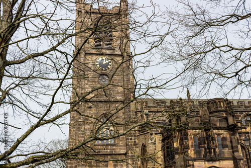 Wallpaper Mural tree in the park Torontodigital.ca
