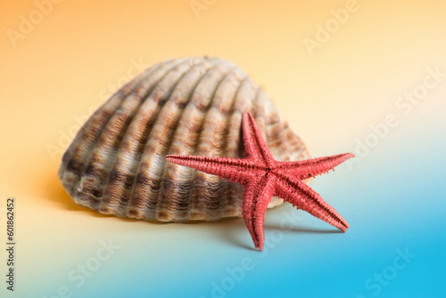 Starfish with large shadow and limited DOF on a light simulated beach background.