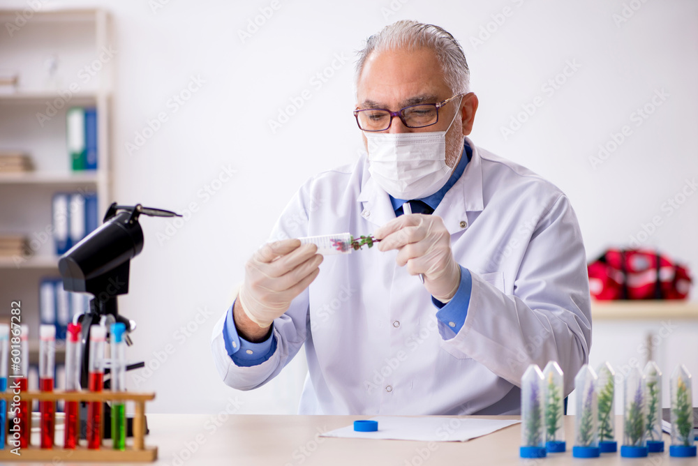 Old male chemist in drugs synthesis concept Old male chemist in drugs synthesis concept