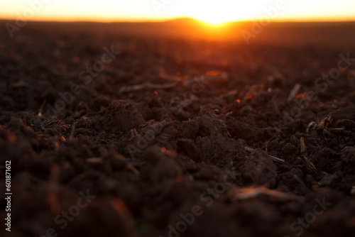 Agriculture and agribusiness concept. Beautiful rural landscape view of large plowed agricultural field of black soil on orange sunset. Preparation farmland for sowing crops and planting vegetables.