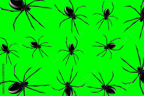 Abstract background with spiders. Black widow spiders scattered on a green background. The concept of poisonous animals 