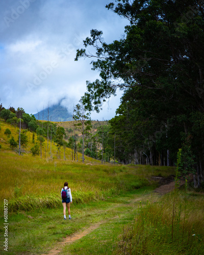 beautiful girl with backpack hiking in mount barney national park, queensland, australia; large mighty mountains near brisbane and gold coast