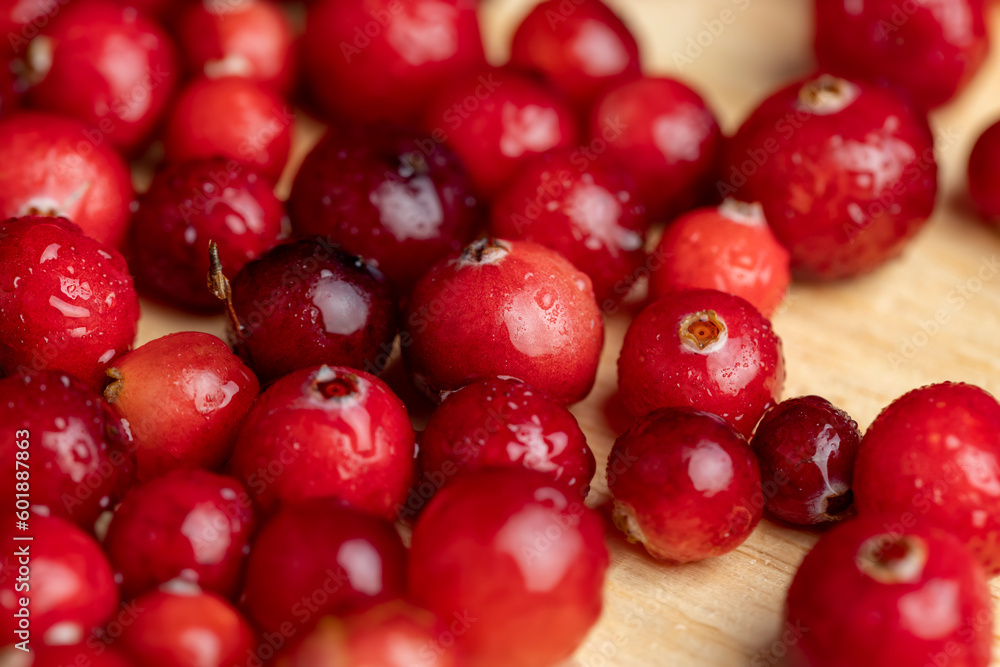 Red wild cranberries covered with drops of water Red wild cranberries covered with drops of water