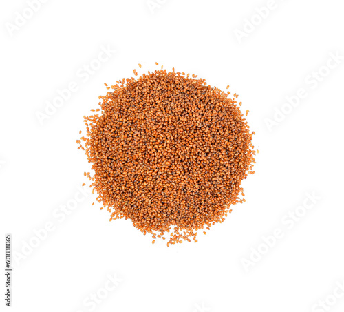 teff  grain  isolated  on  transparent png photo