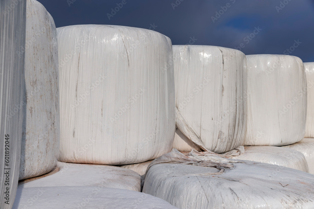 white plastic packaging for hay during storage in winter white plastic packaging for hay during storage in winter