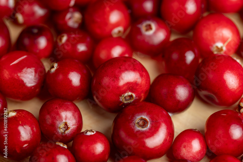 Red ripe cranberries harvested in swamps