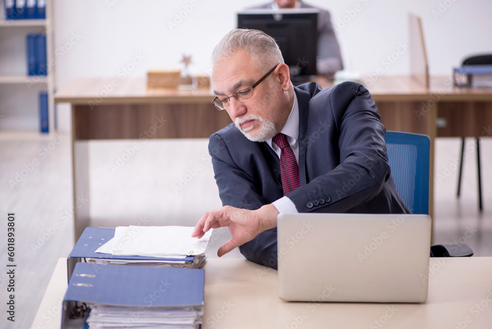Two male colleagues working in the office Two male colleagues working in the office