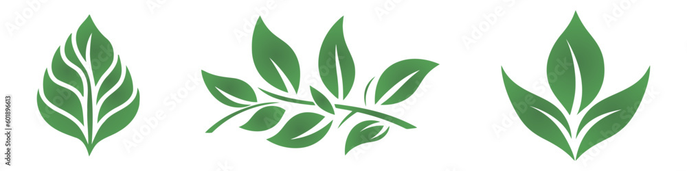 Green leaf icons set on white background. Vector illustration.