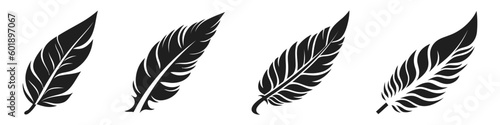 Set of bird feathers. Hand drawn illustration converted to vector. Outline with transparent background
