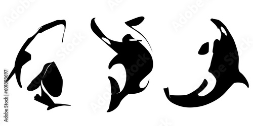 silhouette of orka vector eps 10