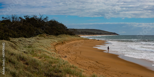 backpacker girl walking on the tropical beach in queensland  australia  hiking in gladstone region near agnes water and town of 1770  deepwater national park