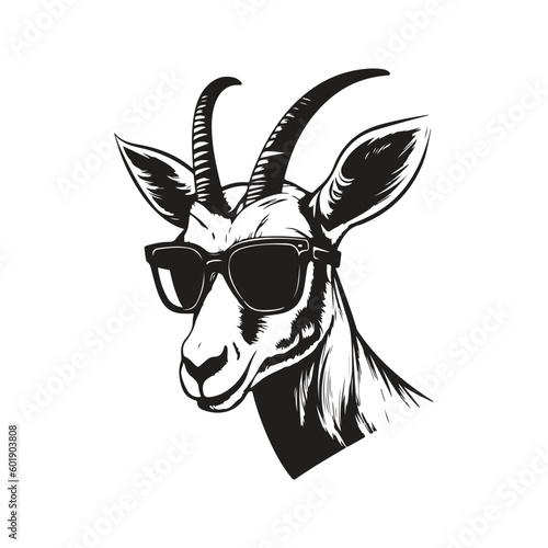 springbok wearing sunglasses, vintage logo line art concept black and white color, hand drawn illustration photo