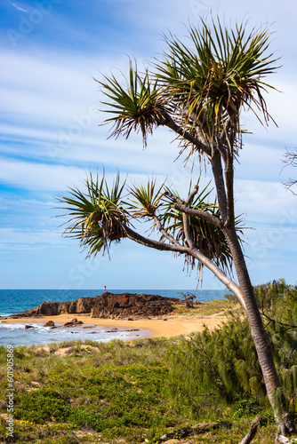 little silhouette of long haired girl standing on the rocks and gazing at the sea at wreck rock beach in deepwater national park near agnes water  queensland  australia