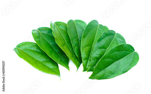 Green Tiliacora triandra leaves or Bai ya nang Thai name ,isolated on white background. Concept, Thai herbal plants that have medicinal qualification, food and drink ingredient.    photo