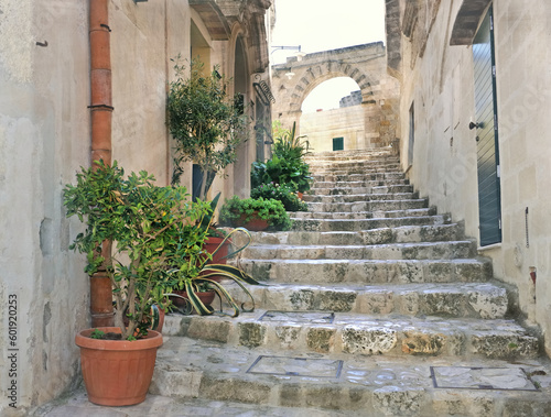 staircase with stone steps in the small alley of Matera with plants along the facade and an arch at the top of the steps