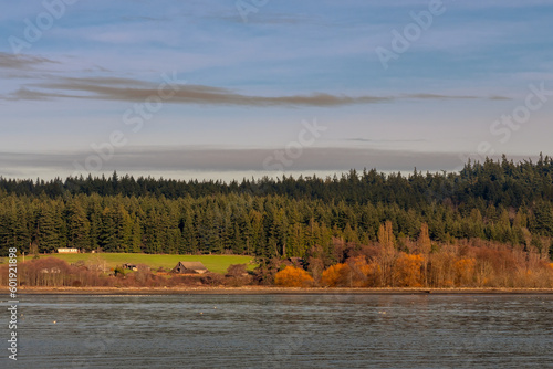 2019-12-29 SHORELINE ALONG WHIDBEY ISLAND WITH A OLD BARN AND MULTI COLORED TREE LINES WITH FALL COLORS IN WASHINGTON STATE