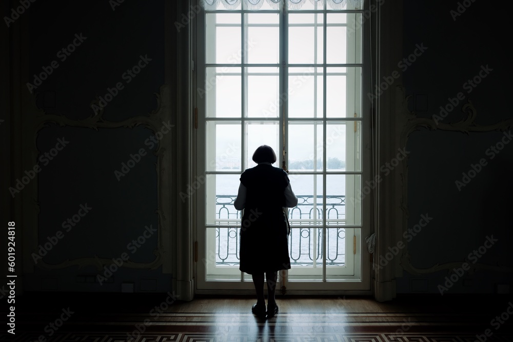Fototapeta premium silhouette of a person in a window