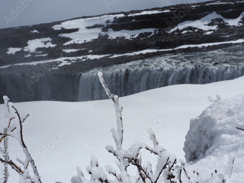 Island Detifoss photo