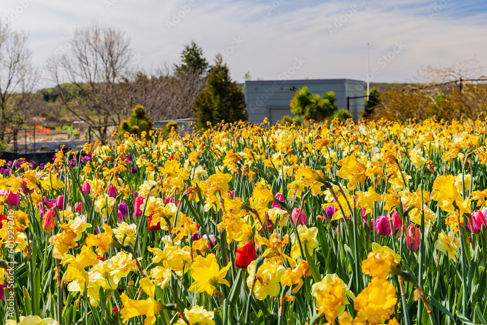 Sunny view of the entrance of Tulsa Botanic Garden