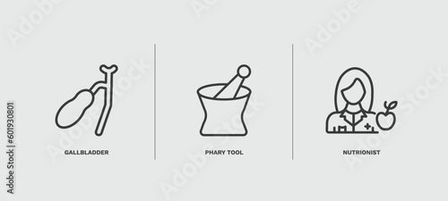 set of medical and healthcare thin line icons. medical and healthcare outline icons included gallbladder, phary tool, nutrionist vector.