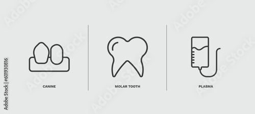 set of medical and healthcare thin line icons. medical and healthcare outline icons included canine, molar tooth, plasma vector.